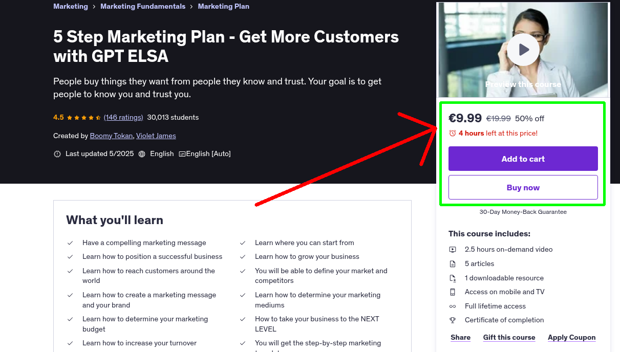 5 Step Marketing Plan - Get More Customers with GPT ELSA