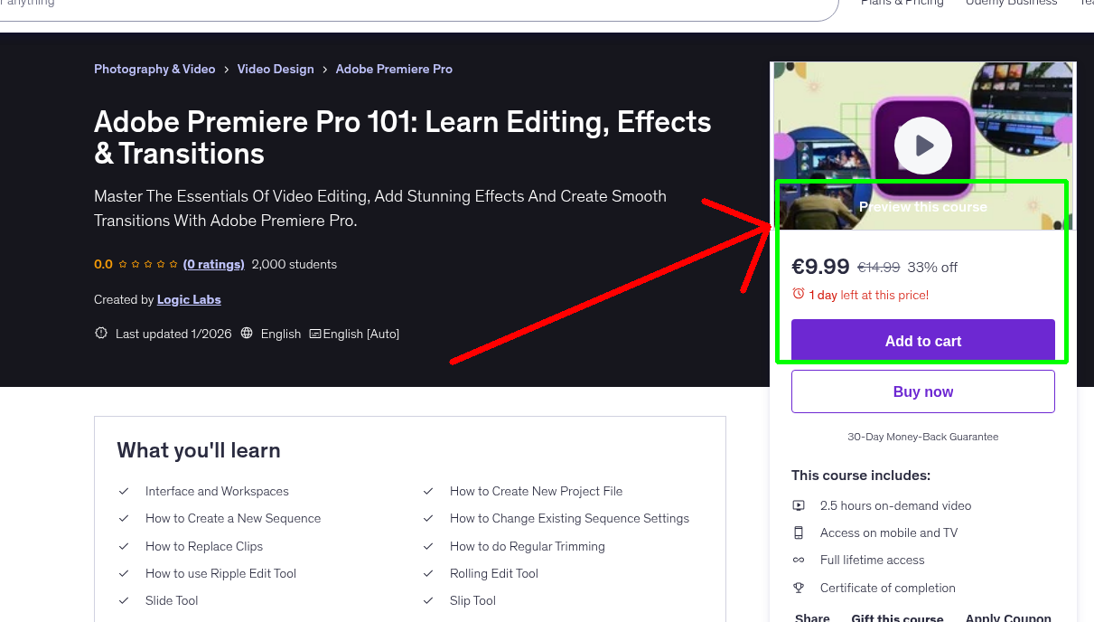 Adobe Premiere Pro 101: Learn Editing, Effects & Transitions