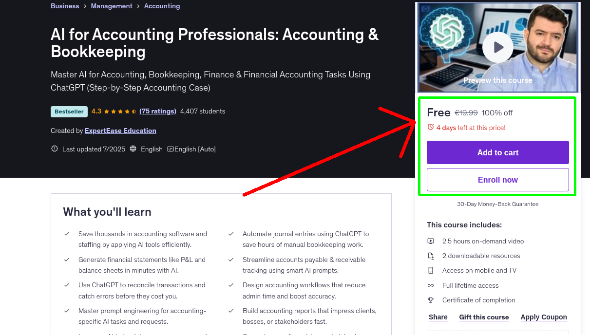 AI for Accounting Professionals: Accounting & Bookkeeping