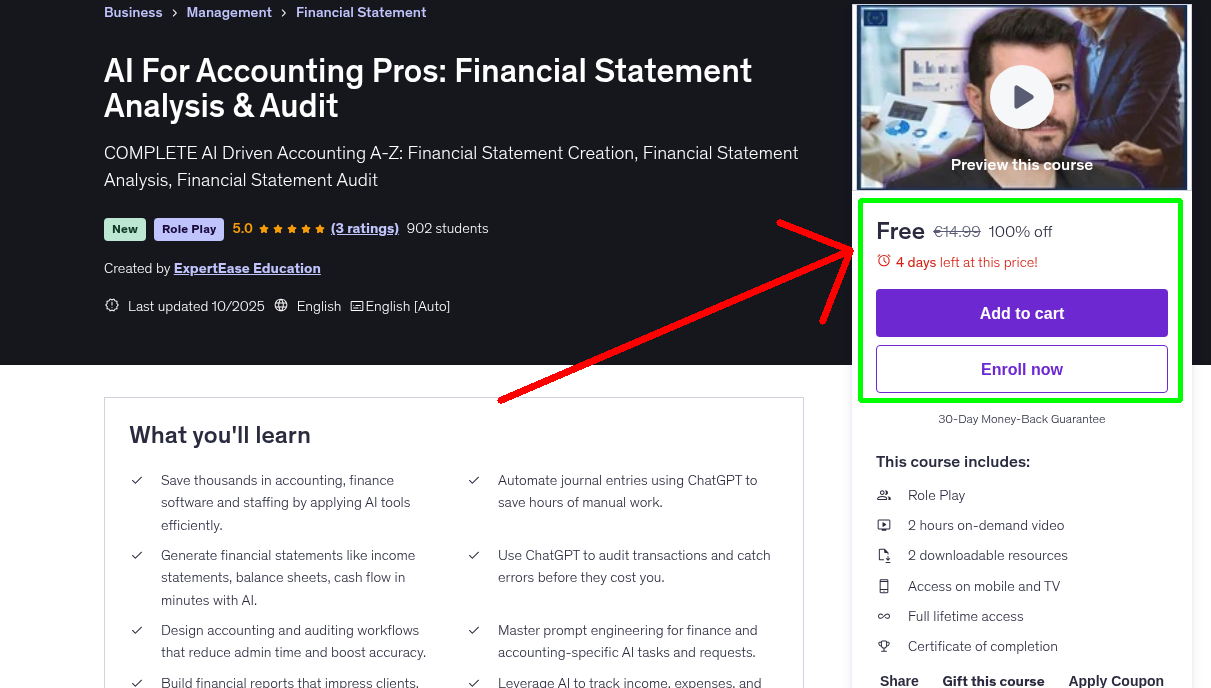 AI For Accounting Pros: Financial Statement Analysis & Audit