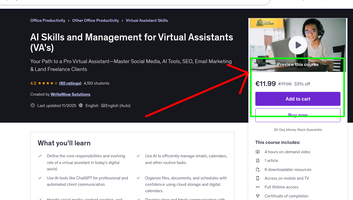 AI Skills and Management for Virtual Assistants (VA's)