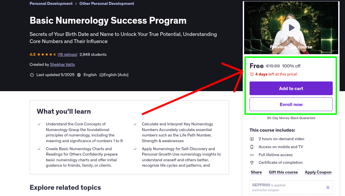 Basic Numerology Success Program