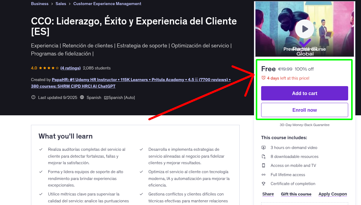 CCO: Liderazgo, Éxito y Experiencia del Cliente [ES]