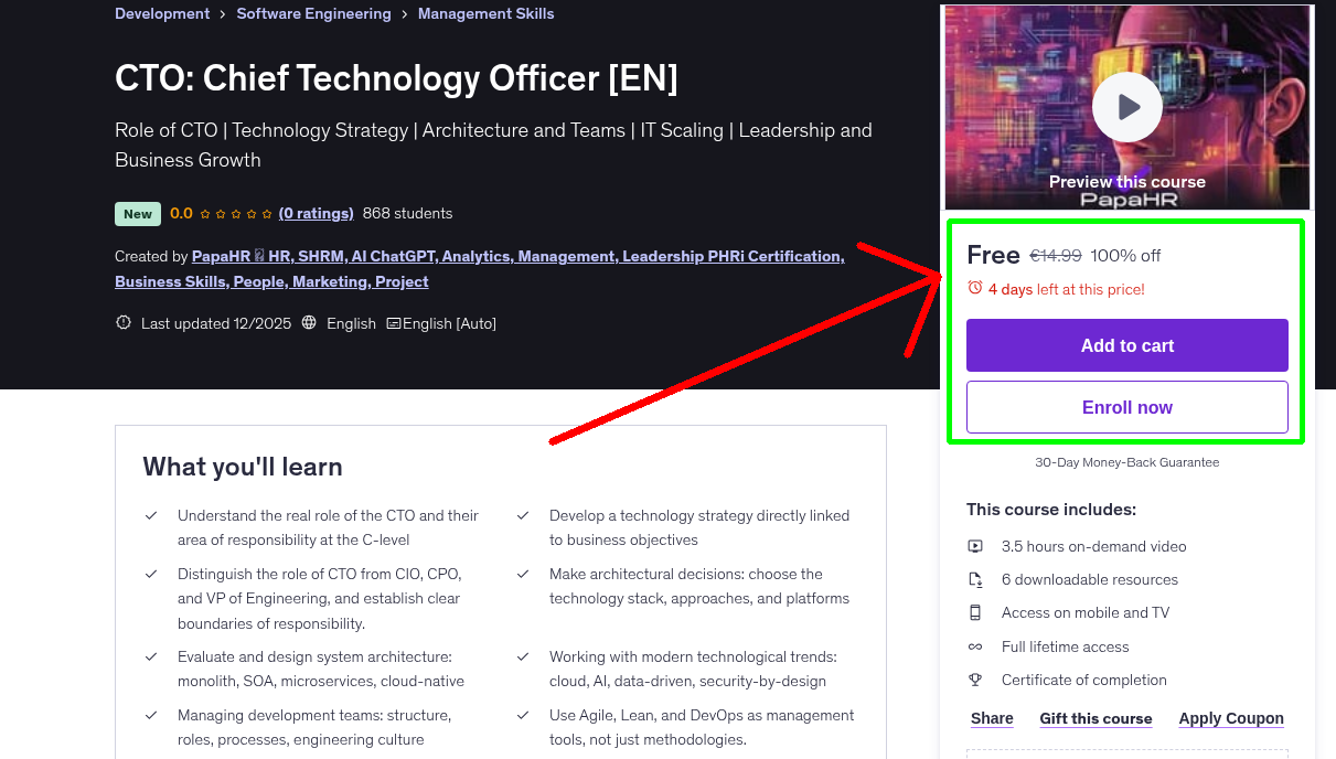 CTO: Chief Technology Officer [EN]