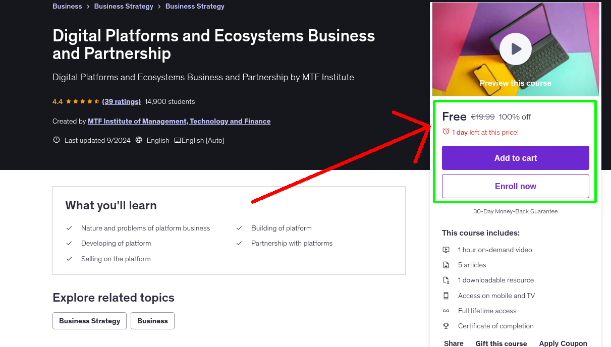 Digital Platforms and Ecosystems Business and Partnership