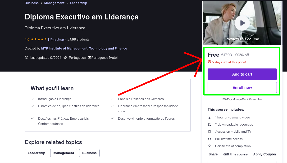 Diploma Executivo em Liderança