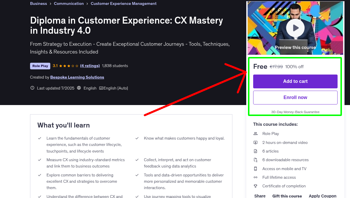 Diploma in Customer Experience: CX Mastery in Industry 4.0