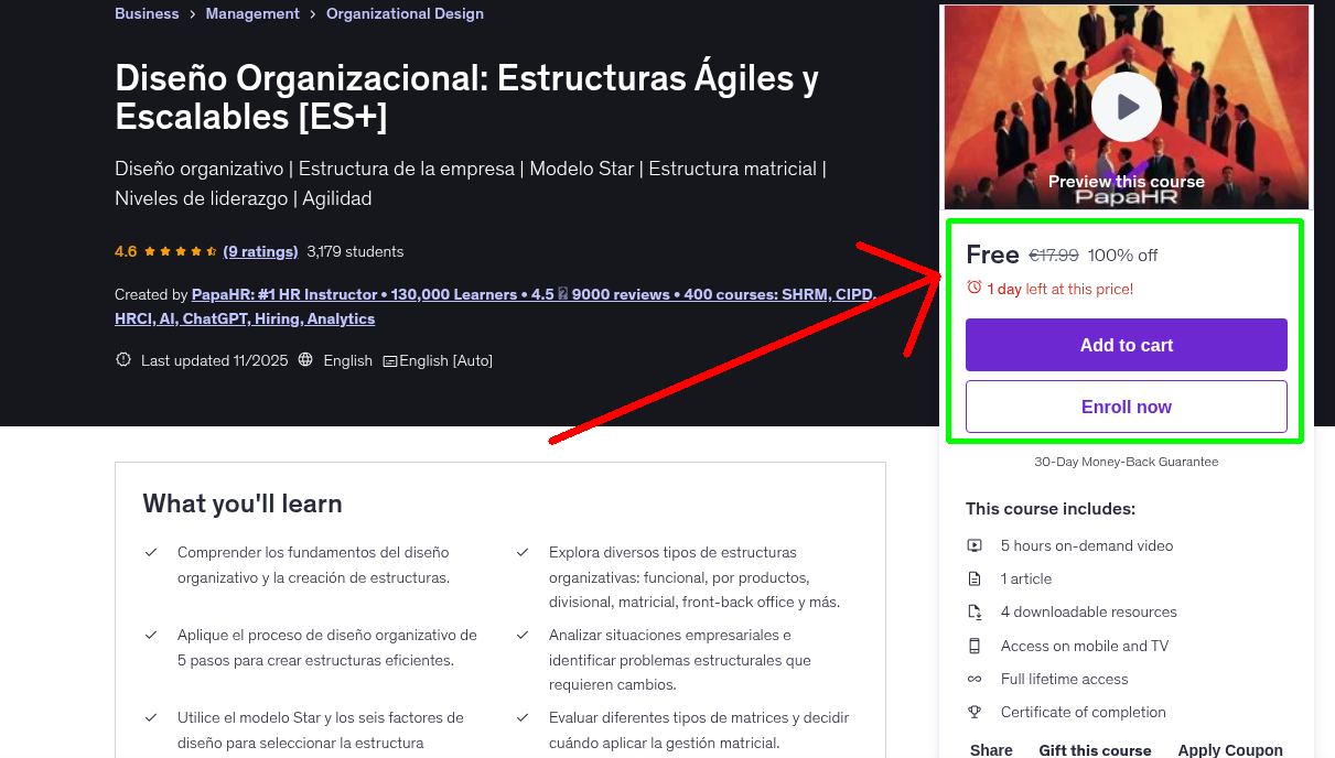 Diseño Organizacional: Estructuras Ágiles y Escalables [ES+]