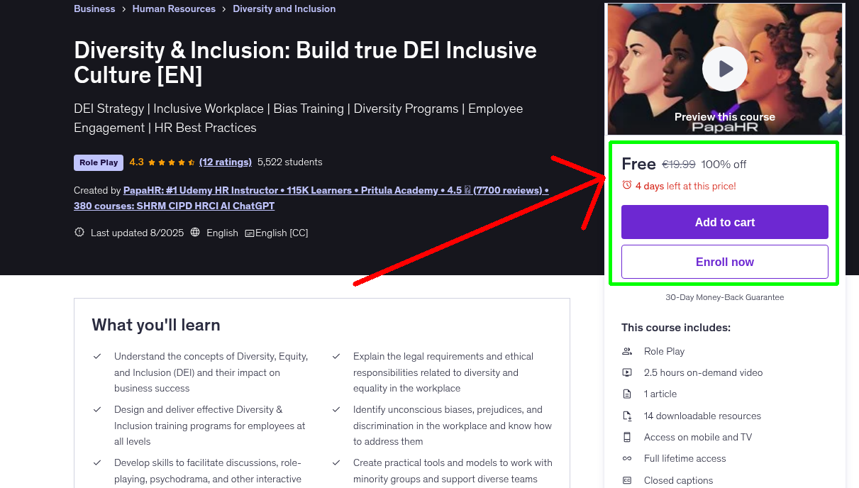 Diversity & Inclusion: Build true DEI Inclusive Culture [EN]