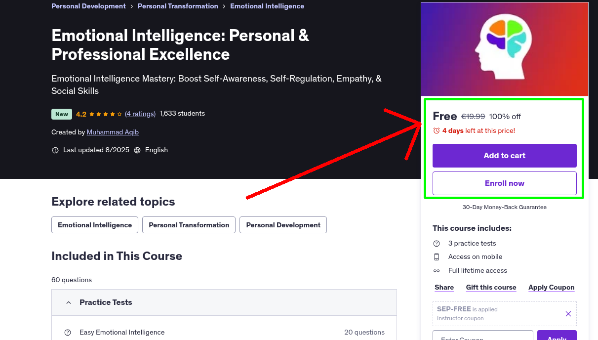 Emotional Intelligence: Personal & Professional Excellence
