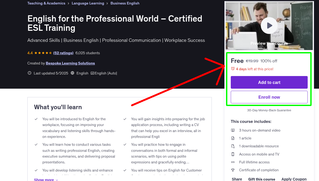 English for the Professional World – Certified ESL Training