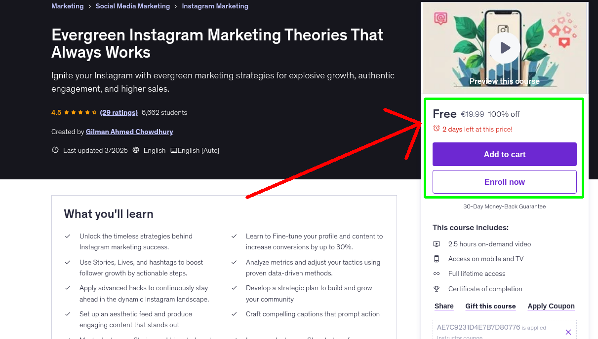 Evergreen Instagram Marketing Theories That Always Works