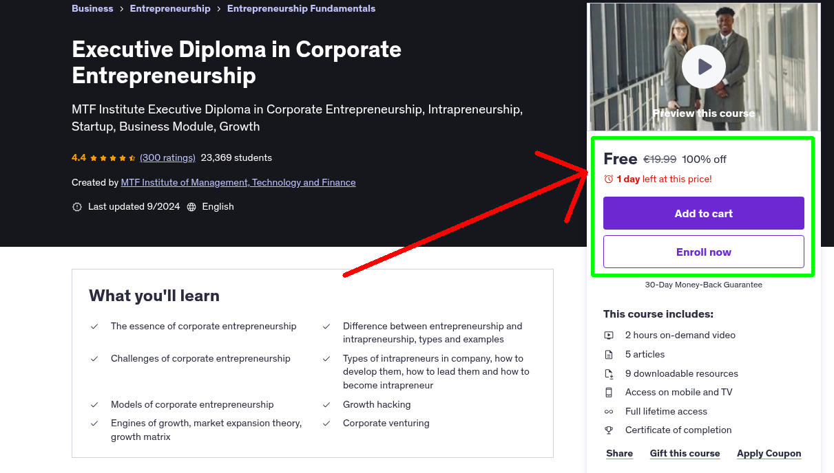 Executive Diploma in Corporate Entrepreneurship