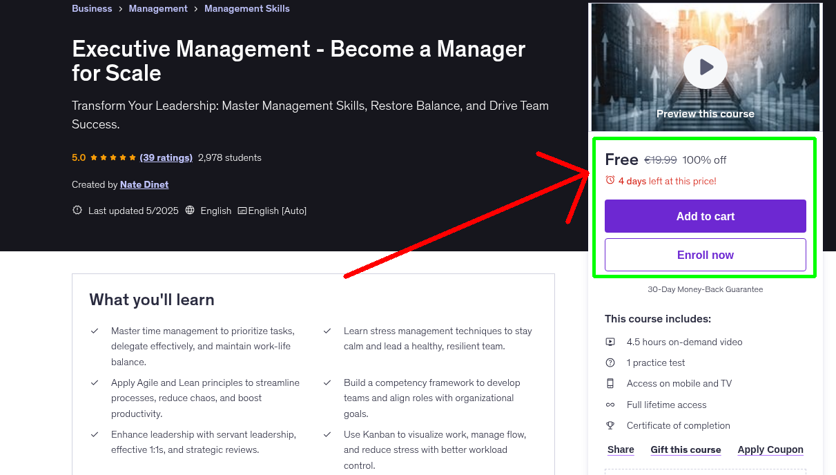 Executive Management - Become a Manager for Scale
