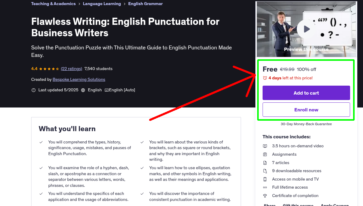 Flawless Writing: English Punctuation for Business Writers