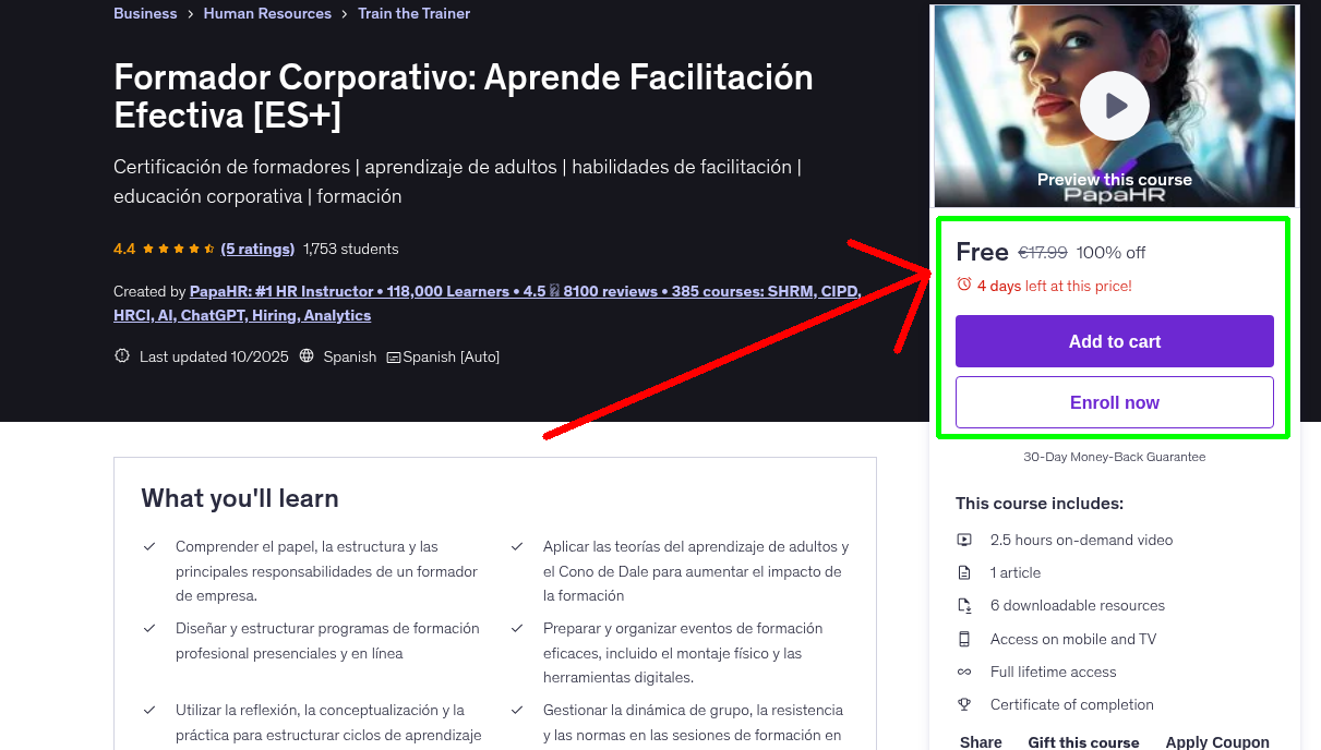 Formador Corporativo: Aprende Facilitación Efectiva [ES+]