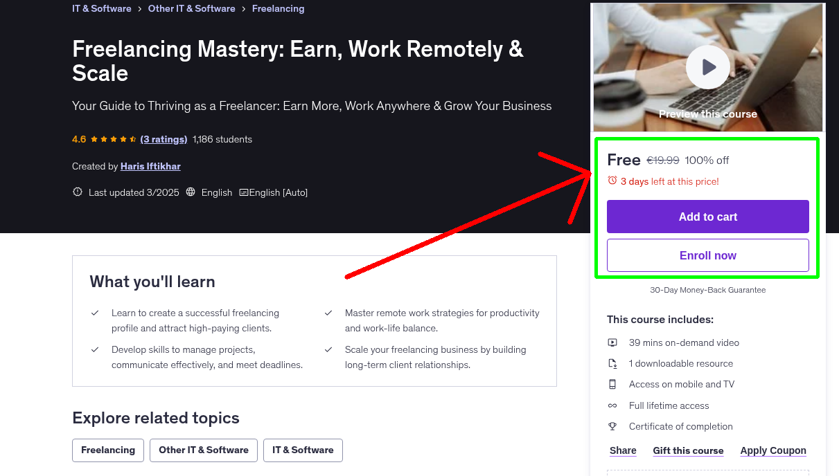 Freelancing Mastery: Earn, Work Remotely & Scale