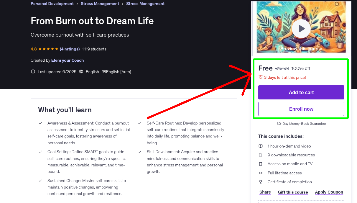 From Burn out to Dream Life