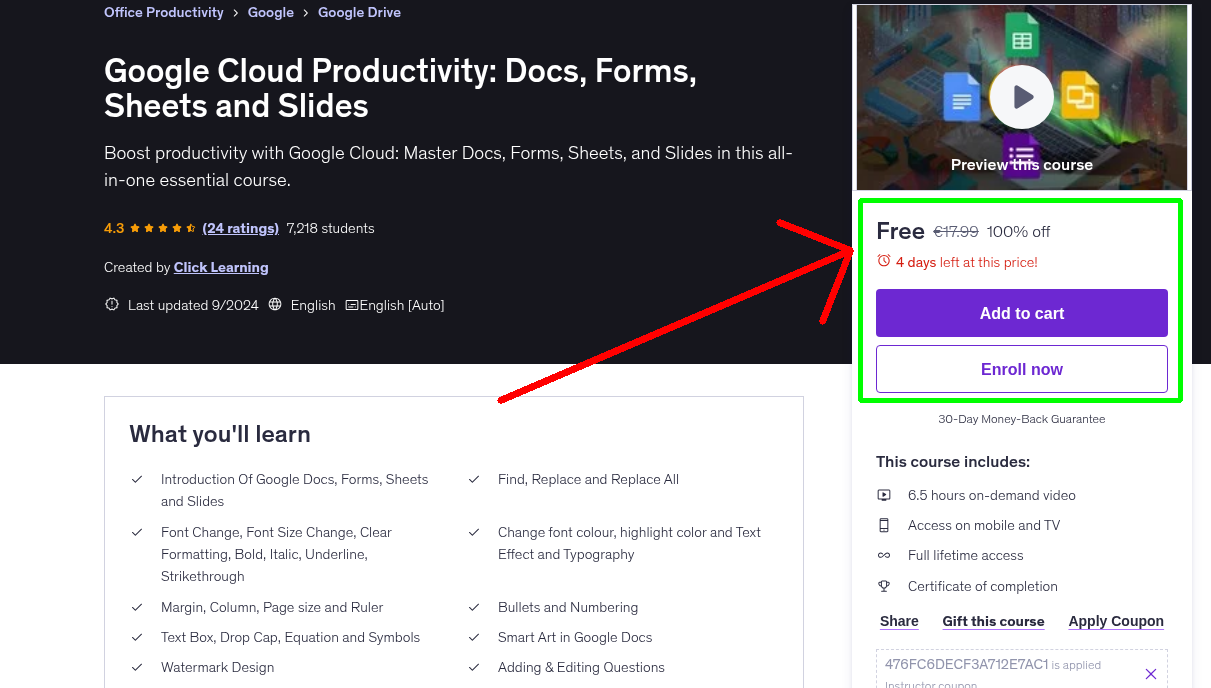Google Cloud Productivity: Docs, Forms, Sheets and Slides