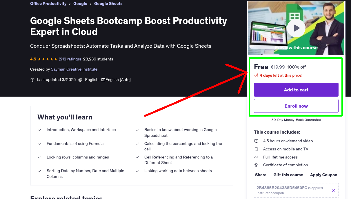 Google Sheets Bootcamp Boost Productivity Expert in Cloud
