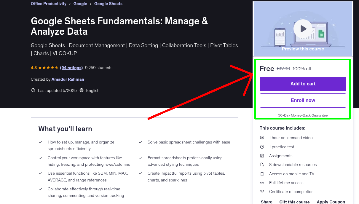 Google Sheets Fundamentals: Manage & Analyze Data