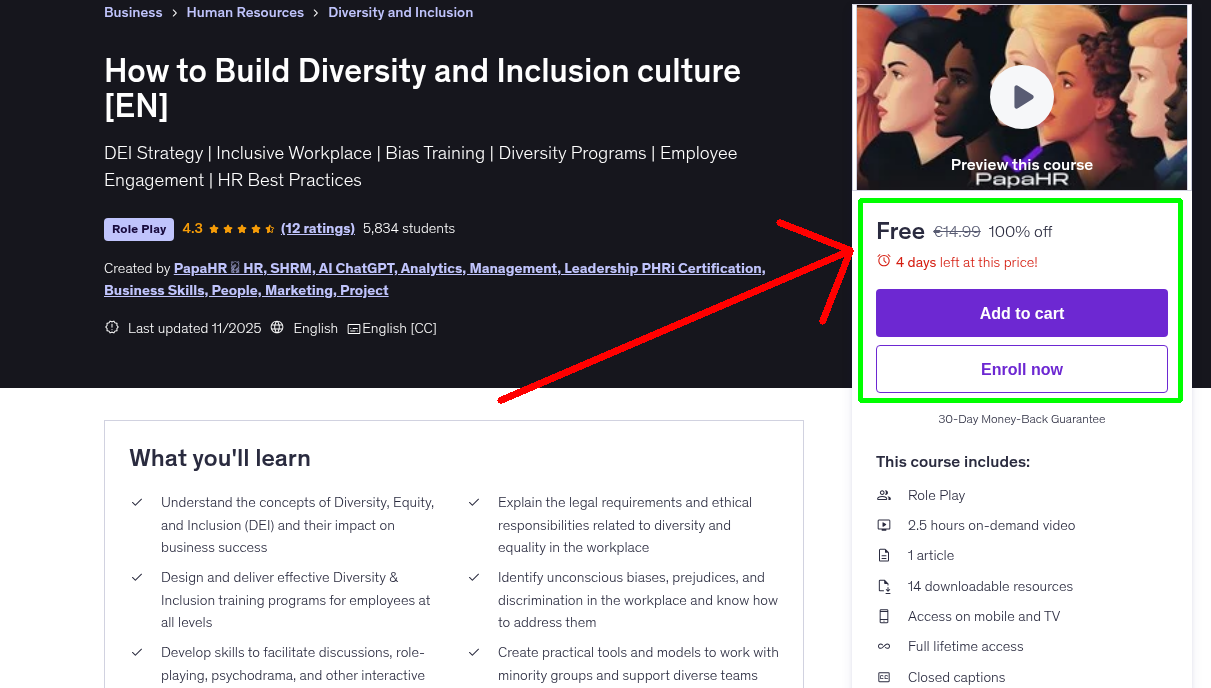 How to Build Diversity and Inclusion culture [EN]