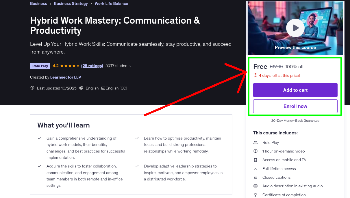 Hybrid Work Mastery: Communication & Productivity