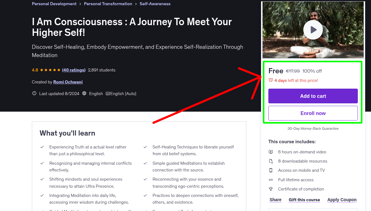 I Am Consciousness : A Journey To Meet Your Higher Self!
