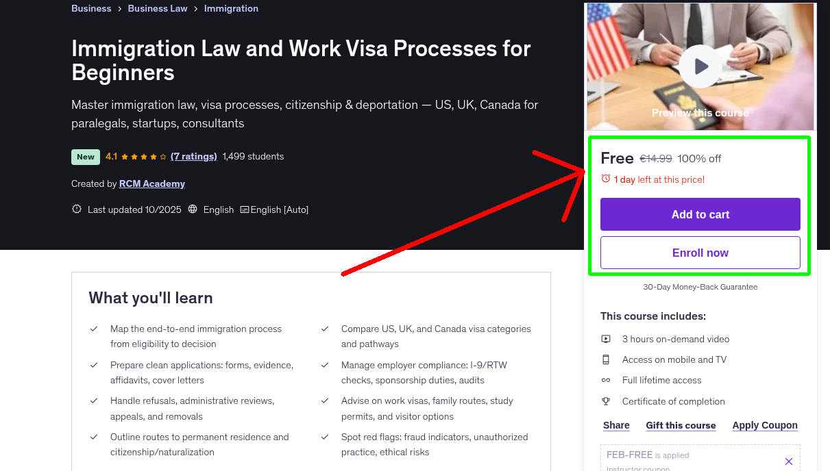 Immigration Law and Work Visa Processes for Beginners