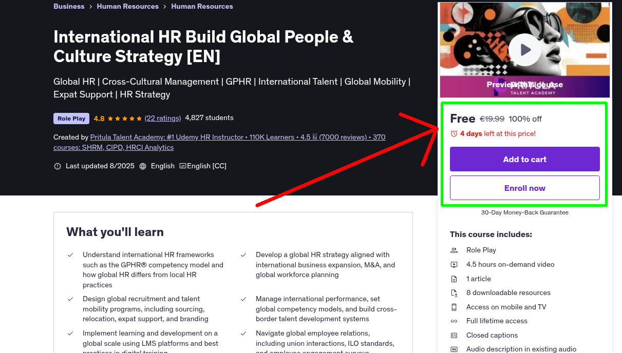 International HR Build Global People & Culture Strategy [EN]