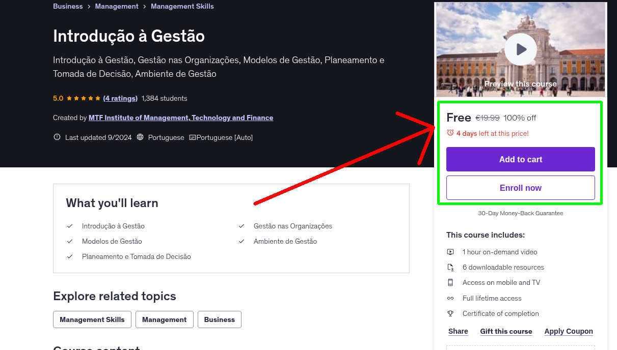 Introdução à Gestão