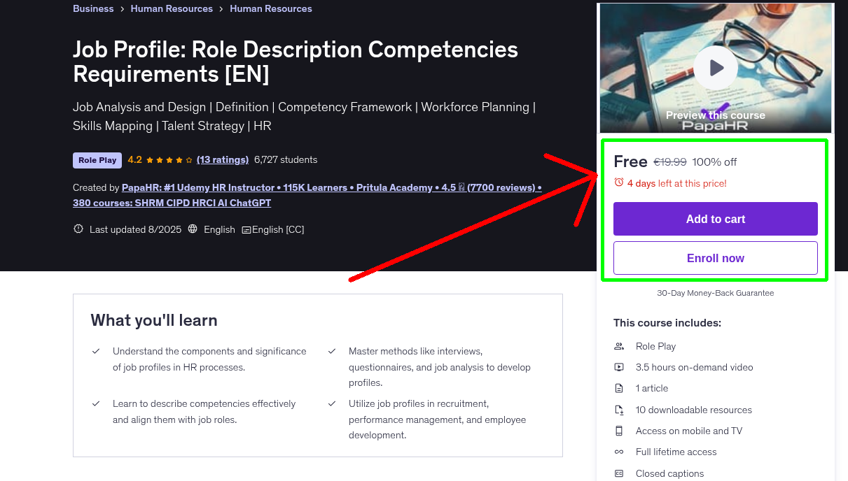 Job Profile: Role Description Competencies Requirements [EN]