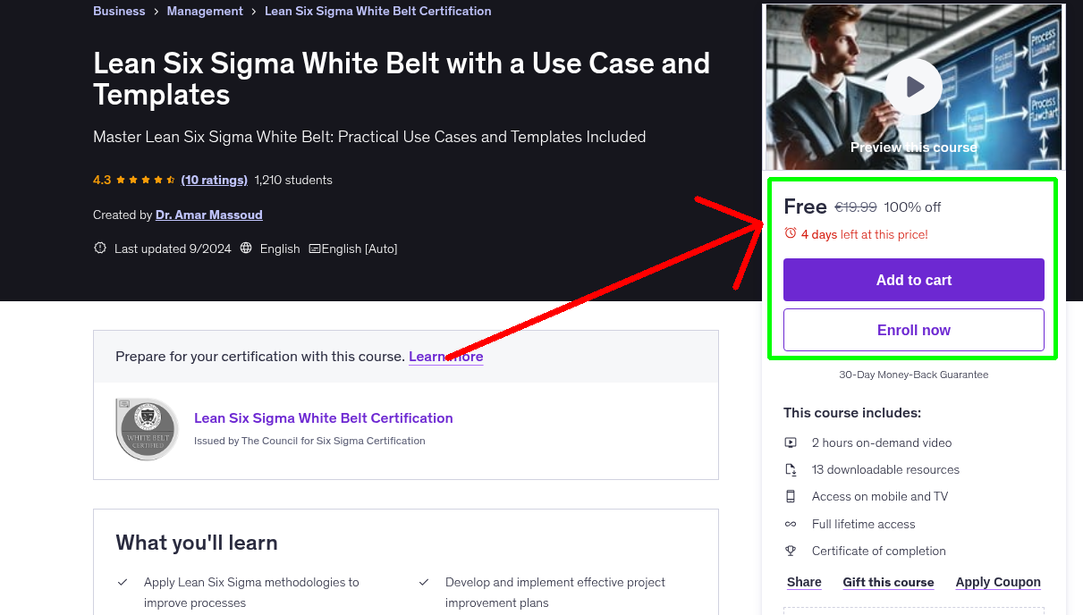 Lean Six Sigma White Belt with a Use Case and Templates