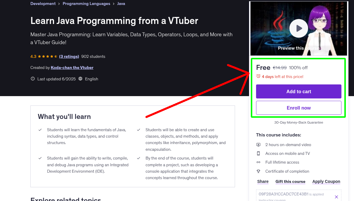 Learn Java Programming from a VTuber