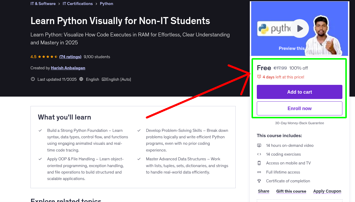 Learn Python Visually for Non-IT Students