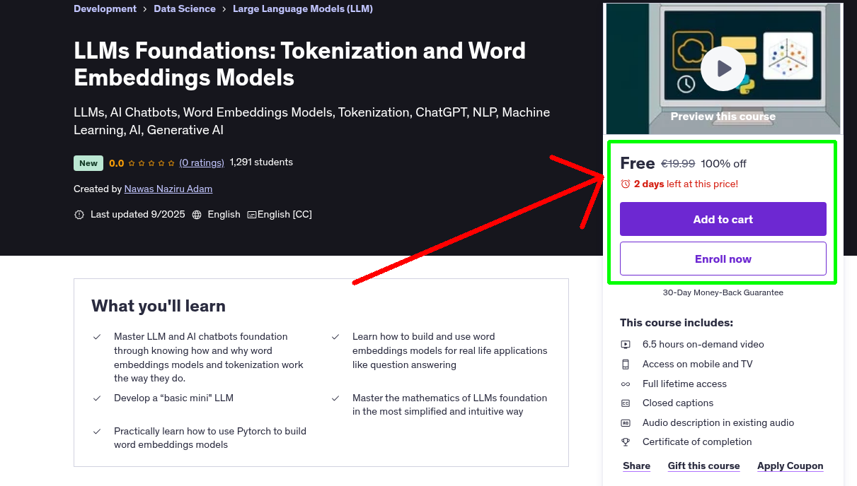 LLMs Foundations: Tokenization and Word Embeddings Models