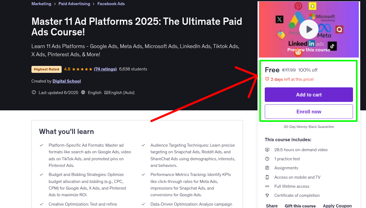 Master 11 Ad Platforms 2025: The Ultimate Paid Ads Course!