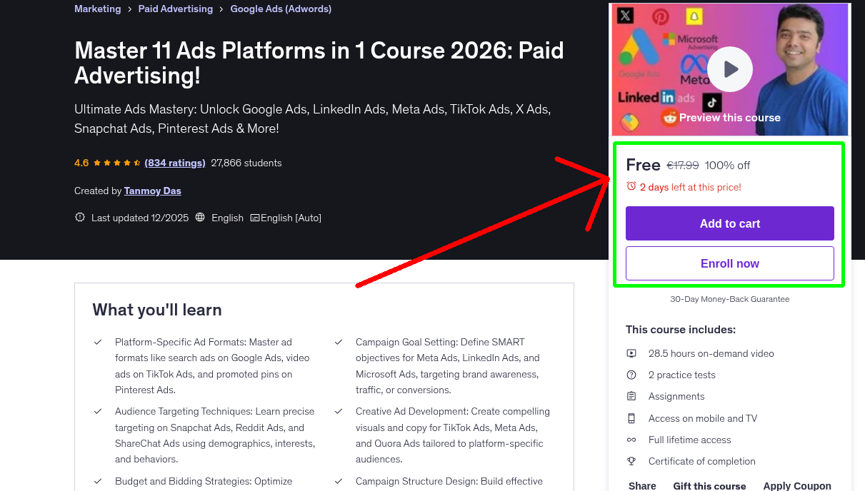 Master 11 Ads Platforms in 1 Course 2026: Paid Advertising!