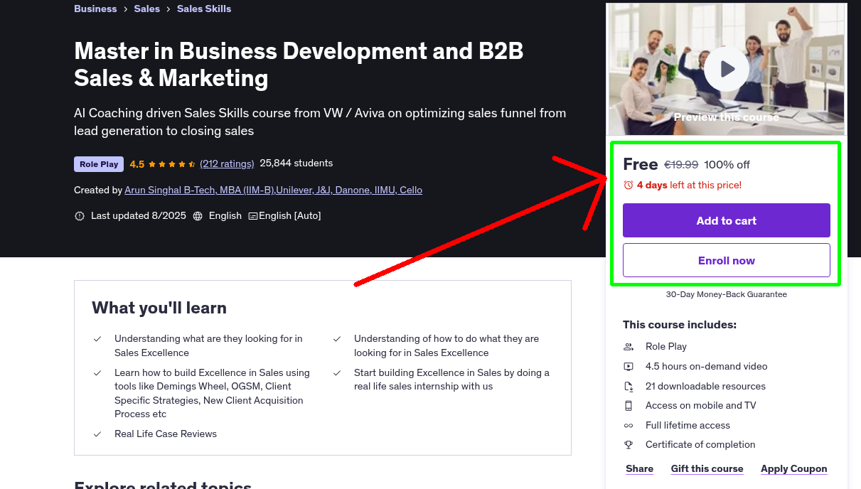 Master in Business Development and B2B Sales & Marketing
