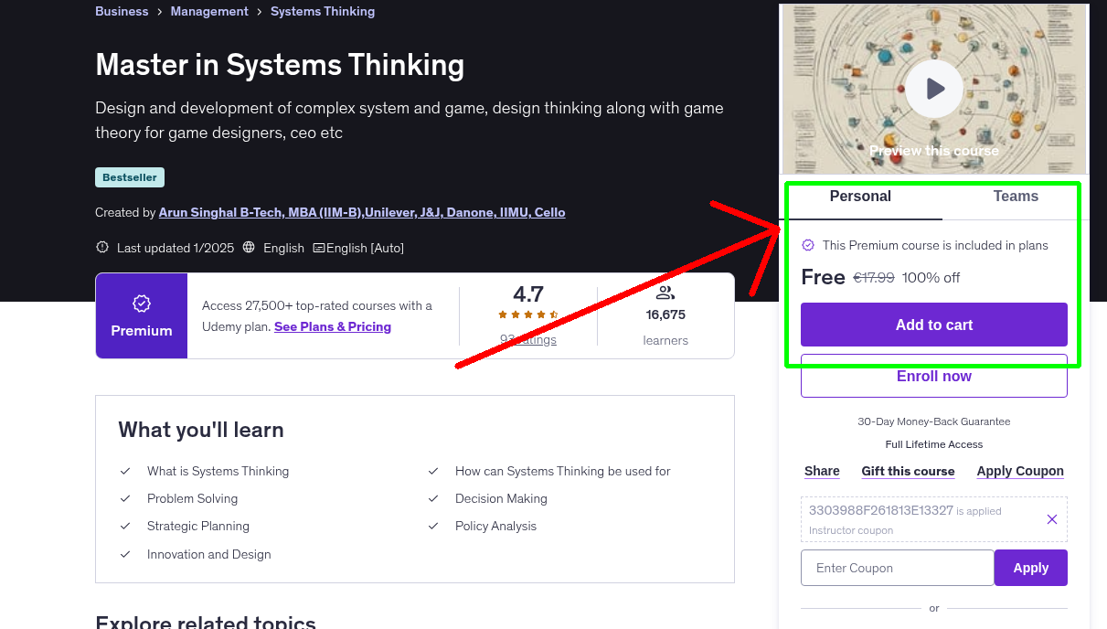 Master in Systems Thinking