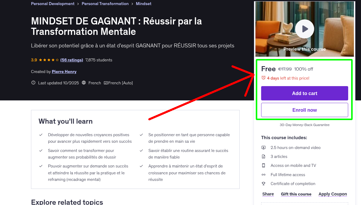 MINDSET DE GAGNANT : Réussir par la Transformation Mentale