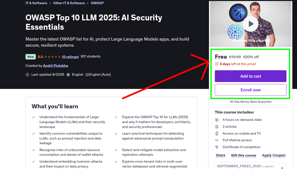 OWASP Top 10 LLM 2025: AI Security Essentials