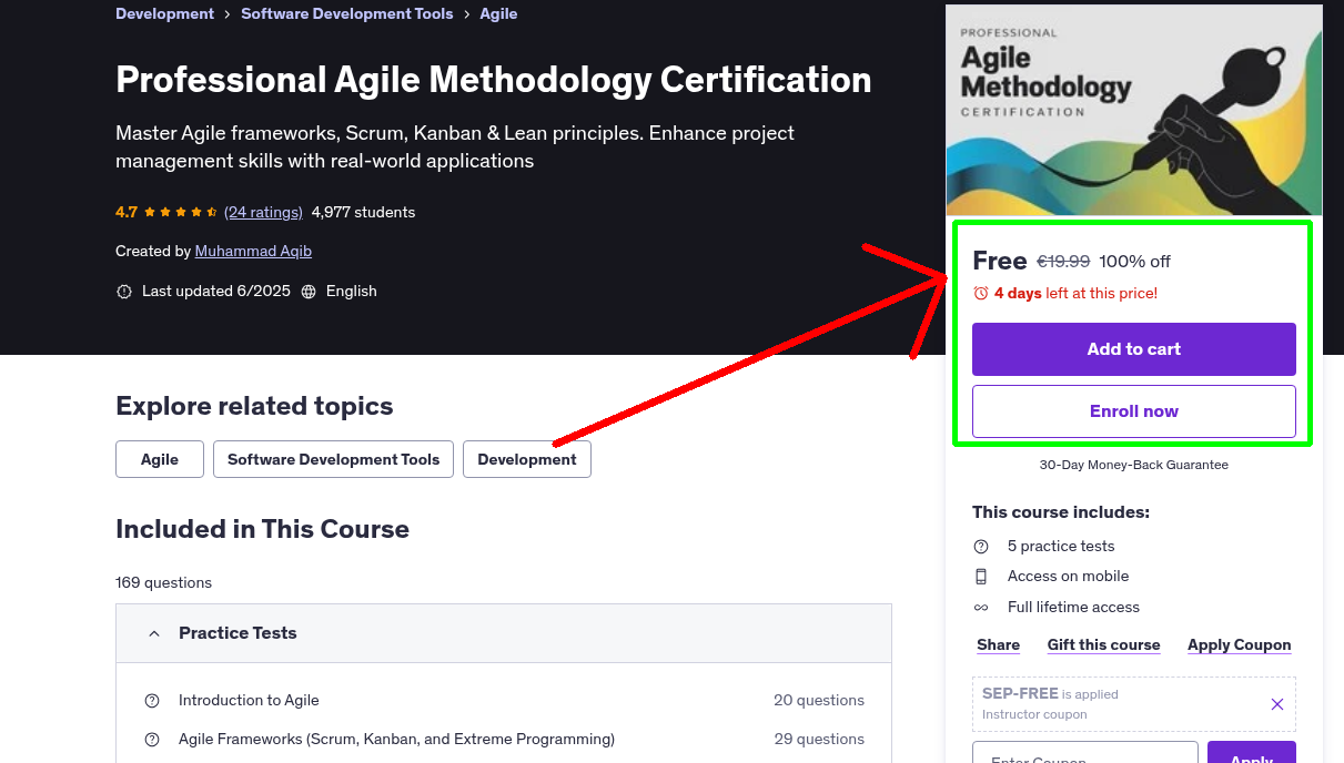 Professional Agile Methodology Certification