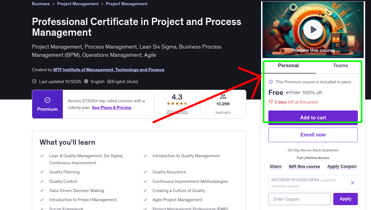 Professional Certificate in Project and Process Management