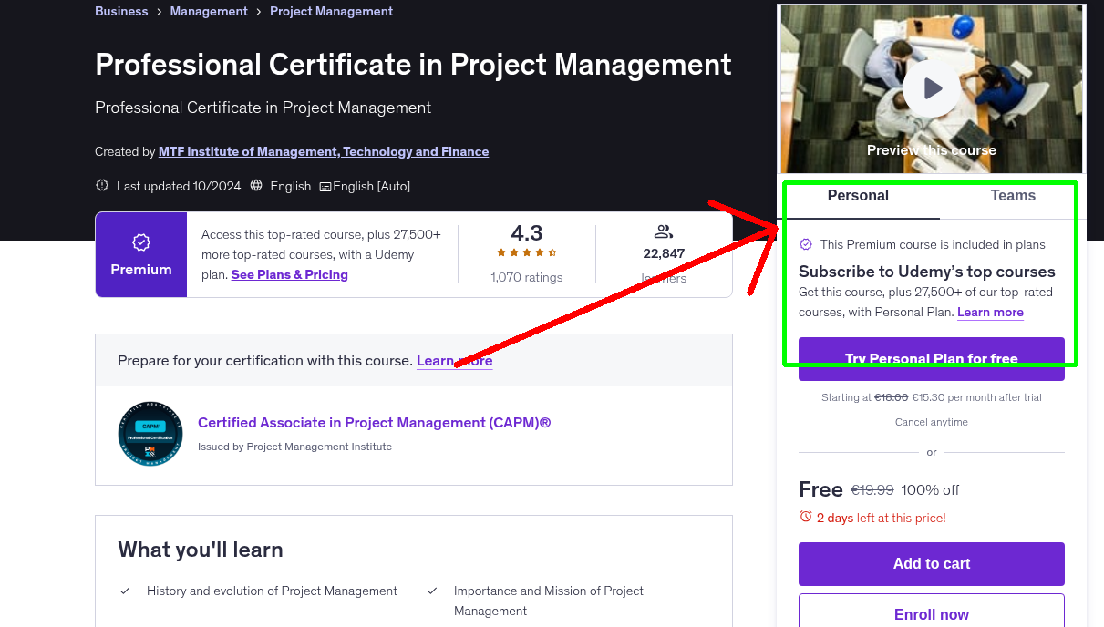 Professional Certificate in Project Management