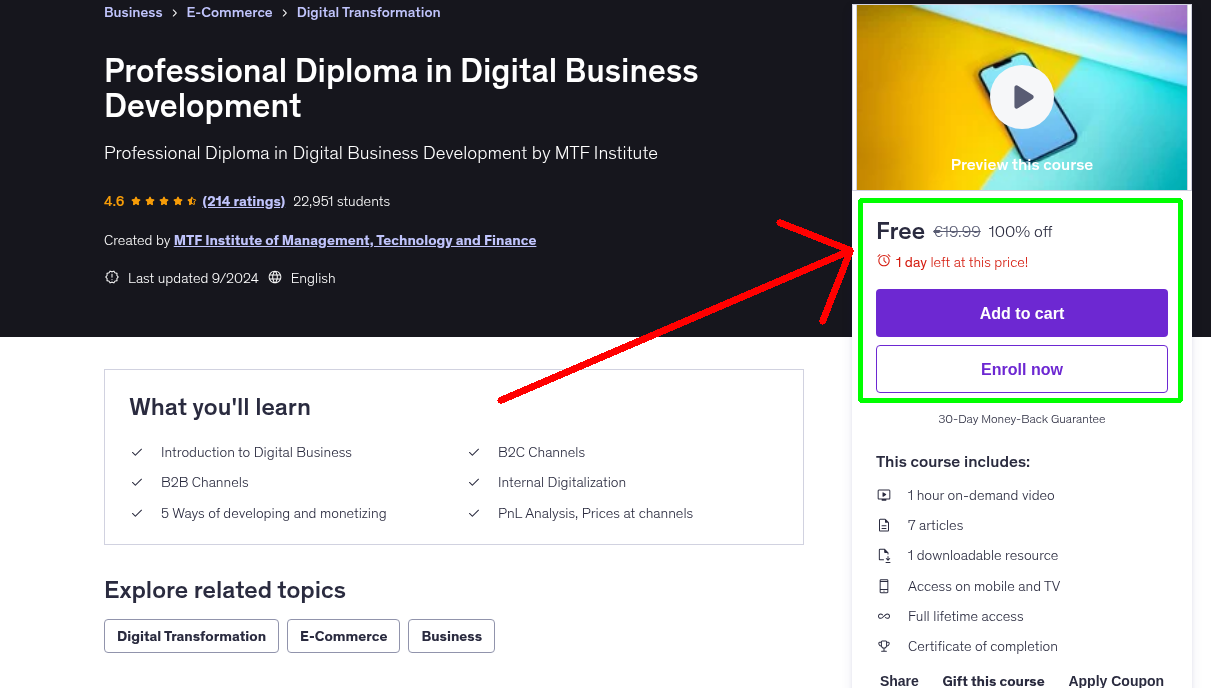 Professional Diploma in Digital Business Development