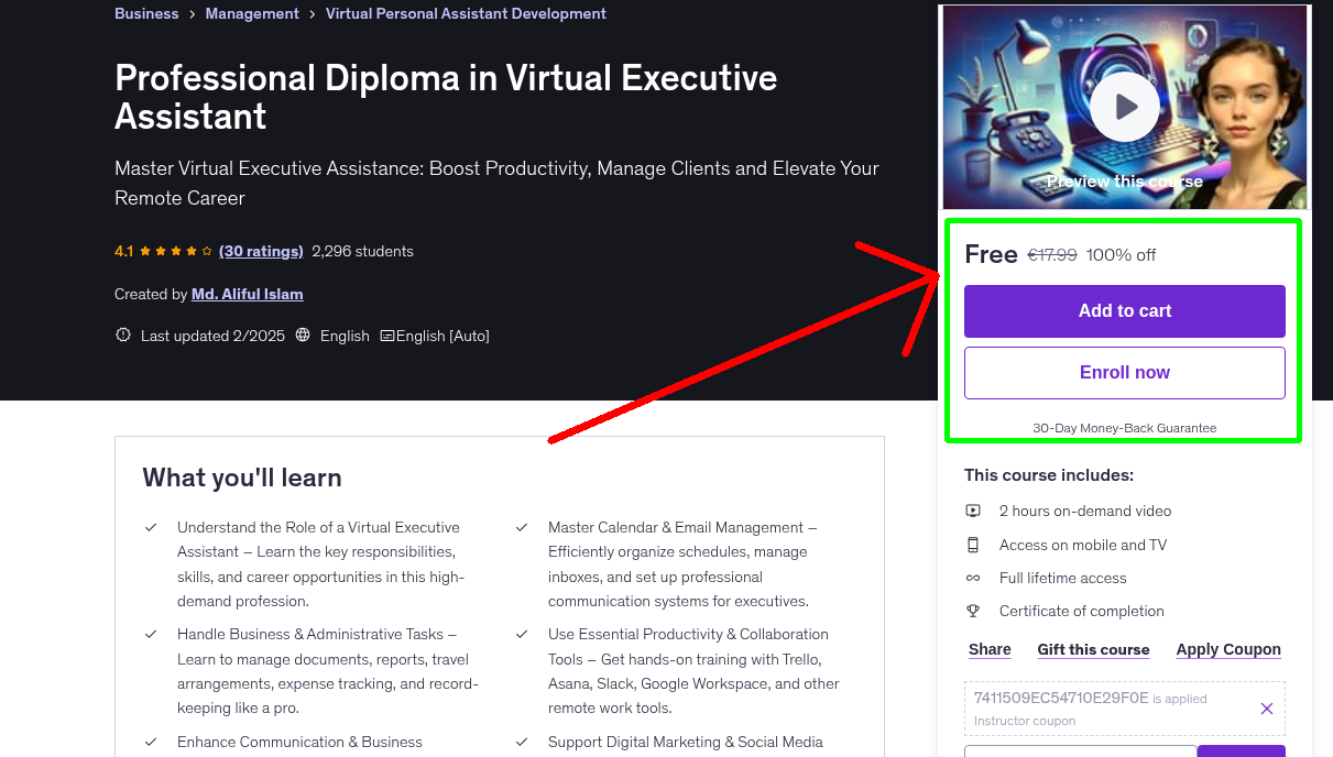Professional Diploma in Virtual Executive Assistant