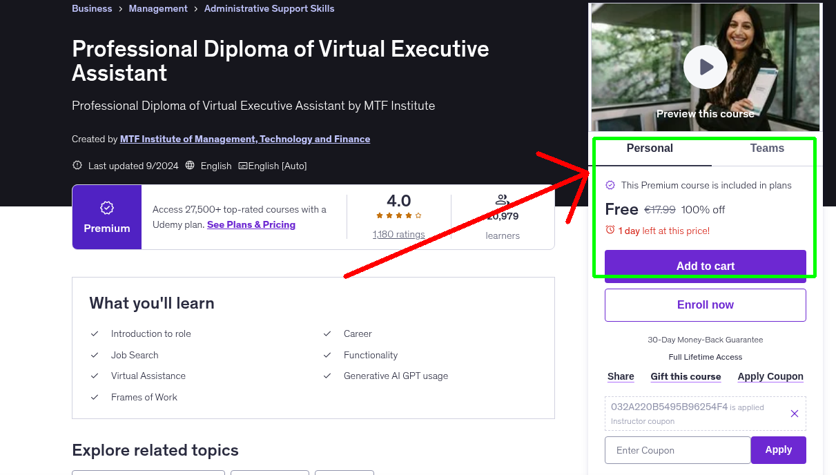 Professional Diploma of Virtual Executive Assistant