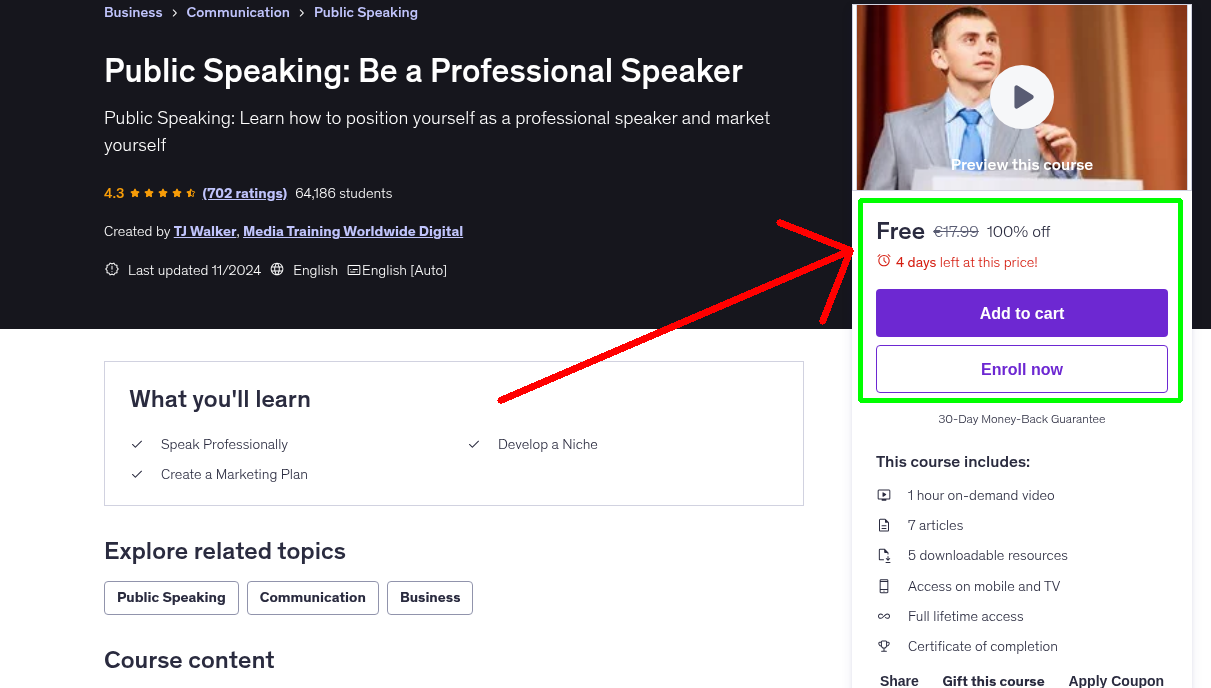 Public Speaking: Be a Professional Speaker