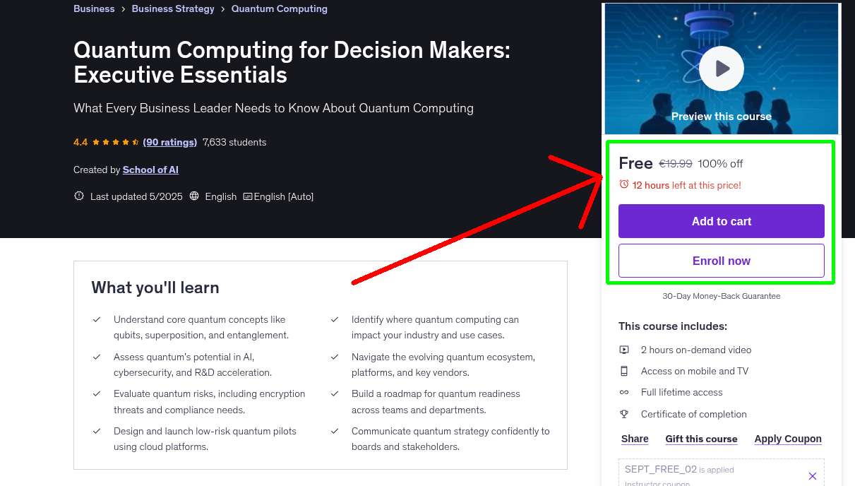 Quantum Computing for Decision Makers: Executive Essentials